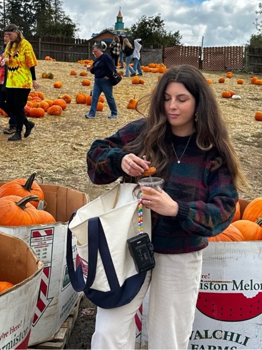 Trader Joe's Large Cream and Navy Canvas Tote Bag